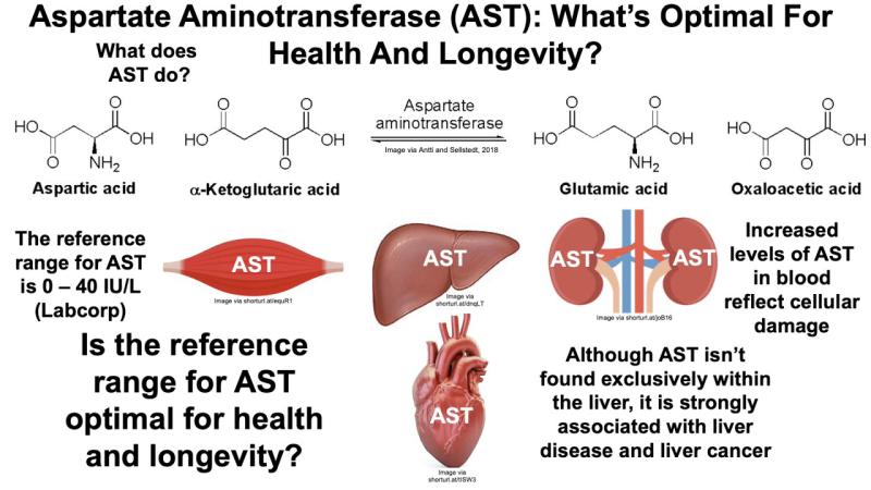 AST: Aspartat Aminotransferaz Nedir?